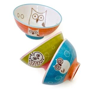 NEW Japanese Owl 🦉 Rice Bowls set of 3